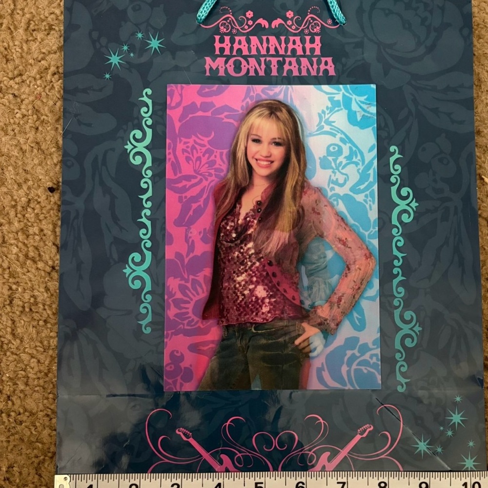 (2) Hannah Montana Blue/Pink gift bags